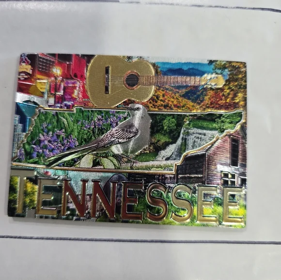 Magnet Lot - Picture 8 of 10